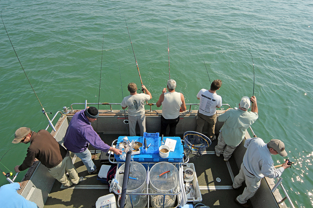 Boat fishing in the UK: a guide