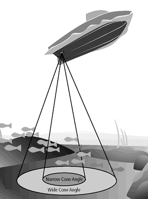 Raymarine fishfinder illustration
