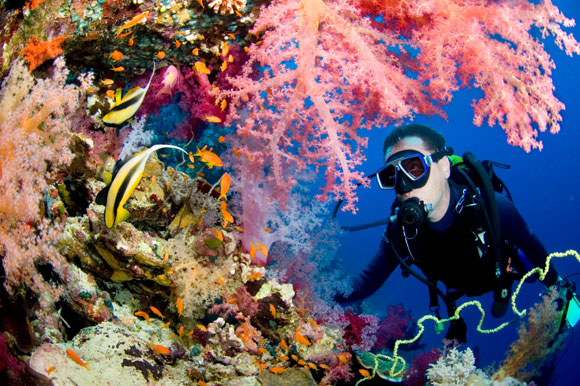 Top Watersports: SCUBA diving