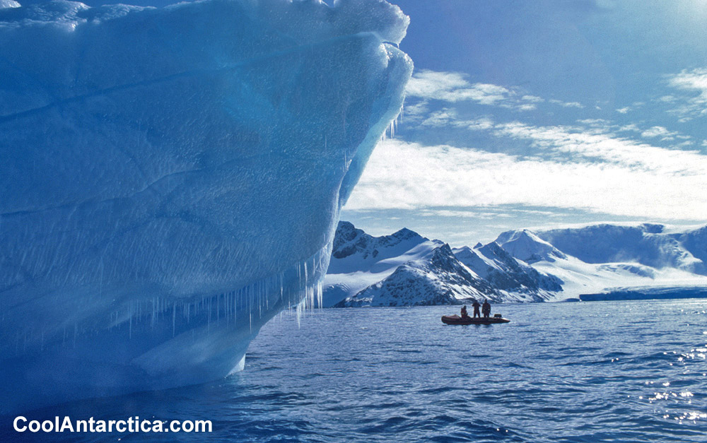 Charter destinations: Antartic