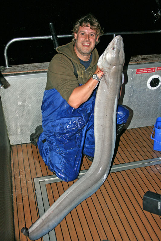 Night fishing for conger eels – guide to boat fishing in the UK
