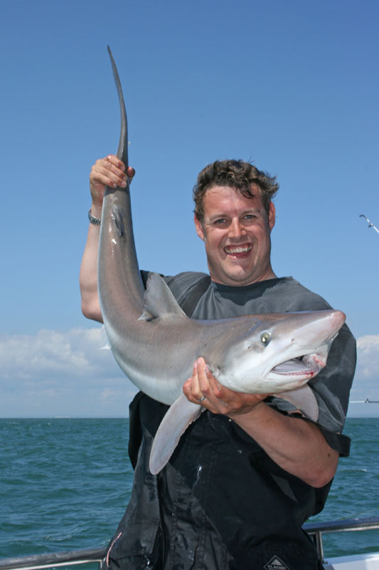 Tope fishing – guide to boat fishing in the UK