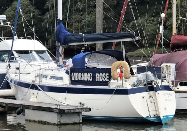 A white and blue Moody sailboat is moored in Neyland Marina