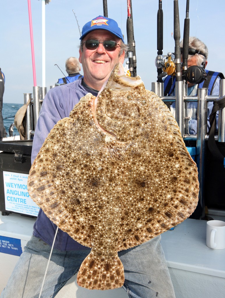 UK fish species: Turbot