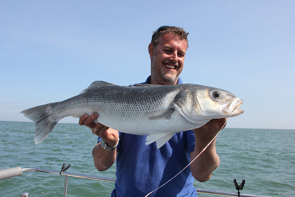 UK fish species: 10 key fish for boat anglers