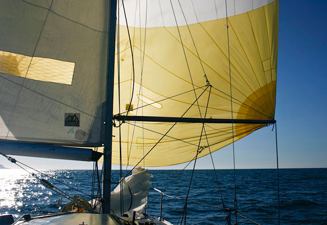 Downwind sails: spinnakers, asymmetrics and code zeros